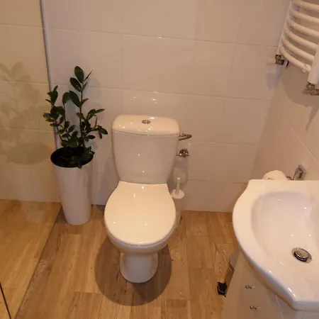 Daire Lawendowy Zakatek